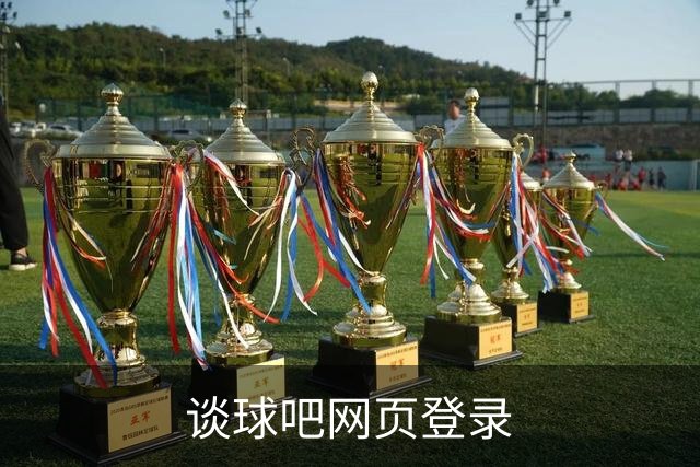 谈球吧网页登录 公司简介